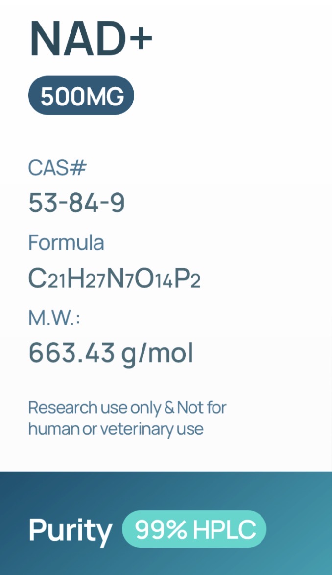 NAD 1000MG - Image 2